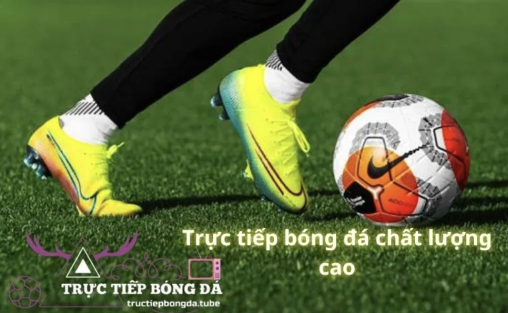 Tructiepbongda