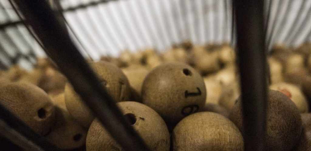 Lottery Probability