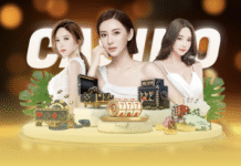 Aliwin789 Ultimate Online Casino For Real Money And Bonuses Aliwin789