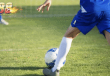 QH88 Sports – Where Every Match Ignites Your Passion QH88