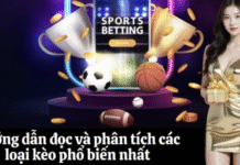 BBET Sports, accurate odds for each match BBET Sports