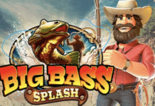 What Makes Players Trust a Betting Platform Long-Term Players