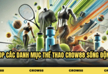 7M Sports – Top 4 Must-Have Betting Categories 7M Sports