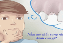 Dreaming about losing teeth: A sign or just a dream? ZBET