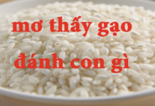 Dream Interpretation: What number should you bet on if you dream about rice? Dreams