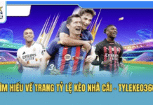 Tỷ Lệ Kèo Nhà Cái – Trang Dữ Liệu Bóng Đá Chuẩn Xác Mỗi Ngày Tỷ Lệ Kèo Nhà Cái