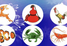 Bau Cua 789club – Familiar Shaking Rhythm, Simple Rules, and Flexible Online Experience Bau Cua 789club