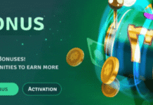 The Ultimate Guide to Playing Live Dealer Games on Casino Live Bet Casino Live Bet