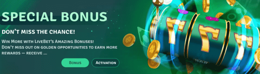 Casino Live Bet