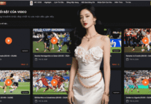 Trends in Multi-Platform Sports Viewing with Thapcamtv and Today’s Football Stream today's football