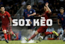 Bookmaker Odds Analysis Tips – Read Data and Betting Lines Before Every Match analysis tips