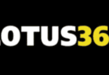 Lotus365 and T20 Cricket: What You Should Know Lotus365