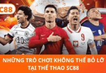 SC88 Sport Explore Diverse Markets And Build A Smarter Match Strategy SC88 Sport
