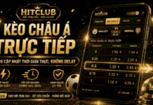 Explore Hitclub Asian Handicap Betting – Decoding Every Handicap Line on the Odds Board Hitclub Asian Handicap betting