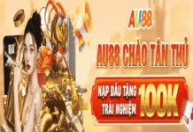 Introduction to AU88 – Overview of Services and Online Experience Introduction to AU88