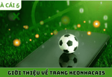 Keo Nha Cai 5: A Practical Guide to Football Odds and Match Analysis Keo Nha Cai 5