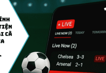 Cakhia TV: Exploring Online Football Coverage and the Modern Fan Experience Football Coverage